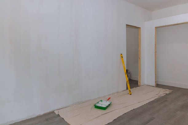 Best Fire-Damaged Drywall Repair  in Centralia, IL